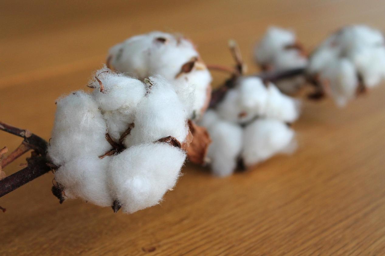 What Are Recycled Fabrics-3